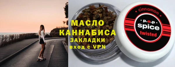 хмурый Арсеньев