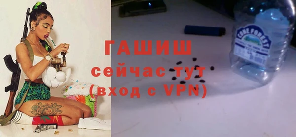 хмурый Арсеньев