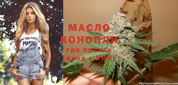 хмурый Арсеньев