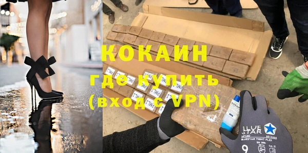 хмурый Арсеньев