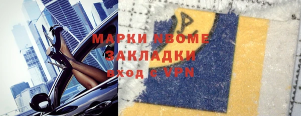 хмурый Арсеньев