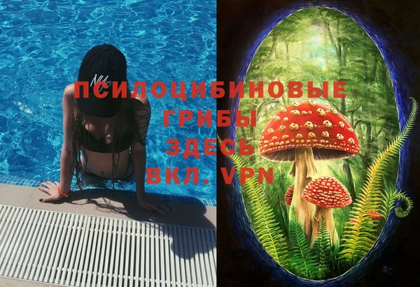 хмурый Арсеньев