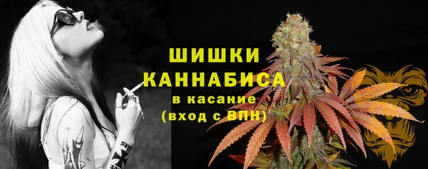 хмурый Арсеньев